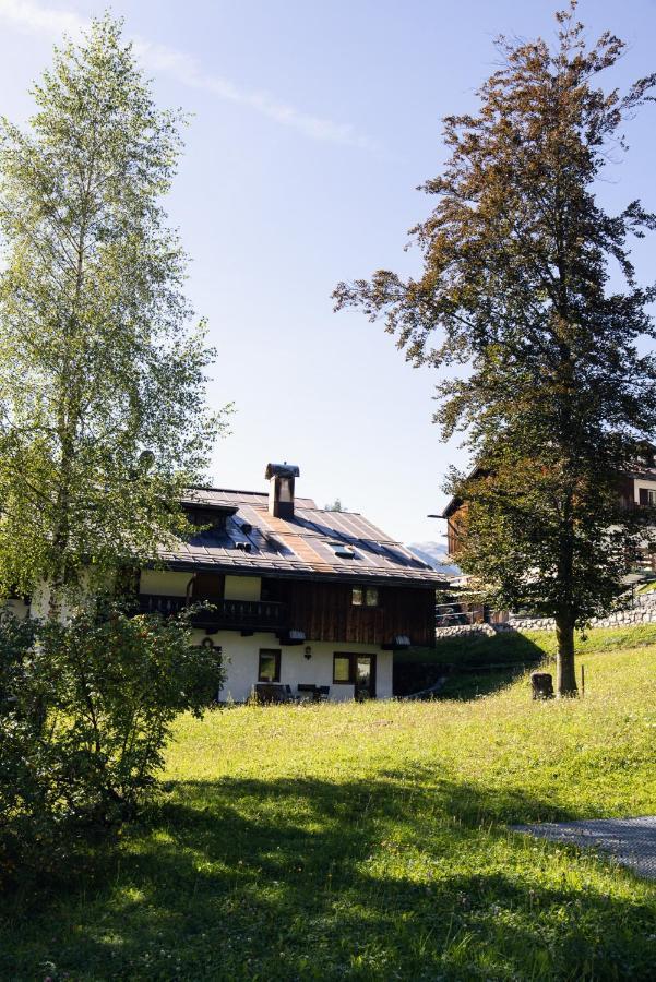 科尔蒂纳丹佩佐Casa Betulla公寓 外观 照片